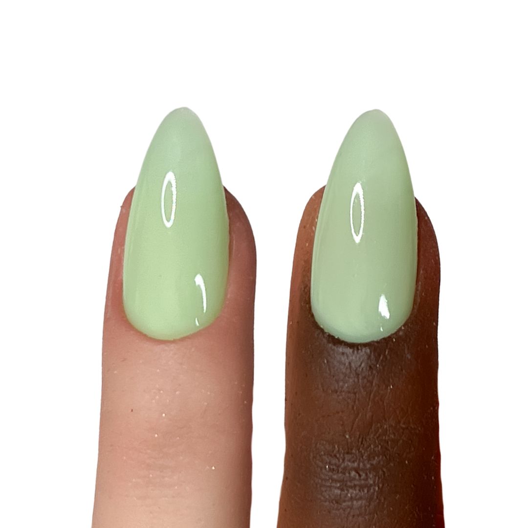 Cactus Gelly Base - Succulent  n. 653